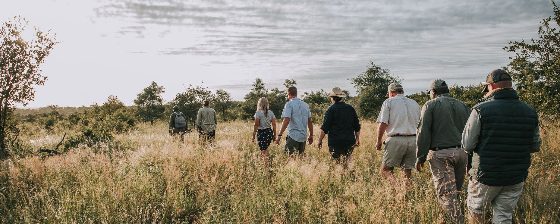 Exploring on foot with a good safari guide