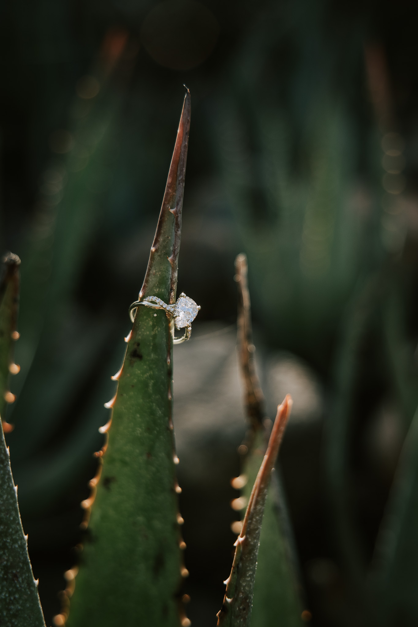 Engagement ring with stunning Timbavati safari backdrop