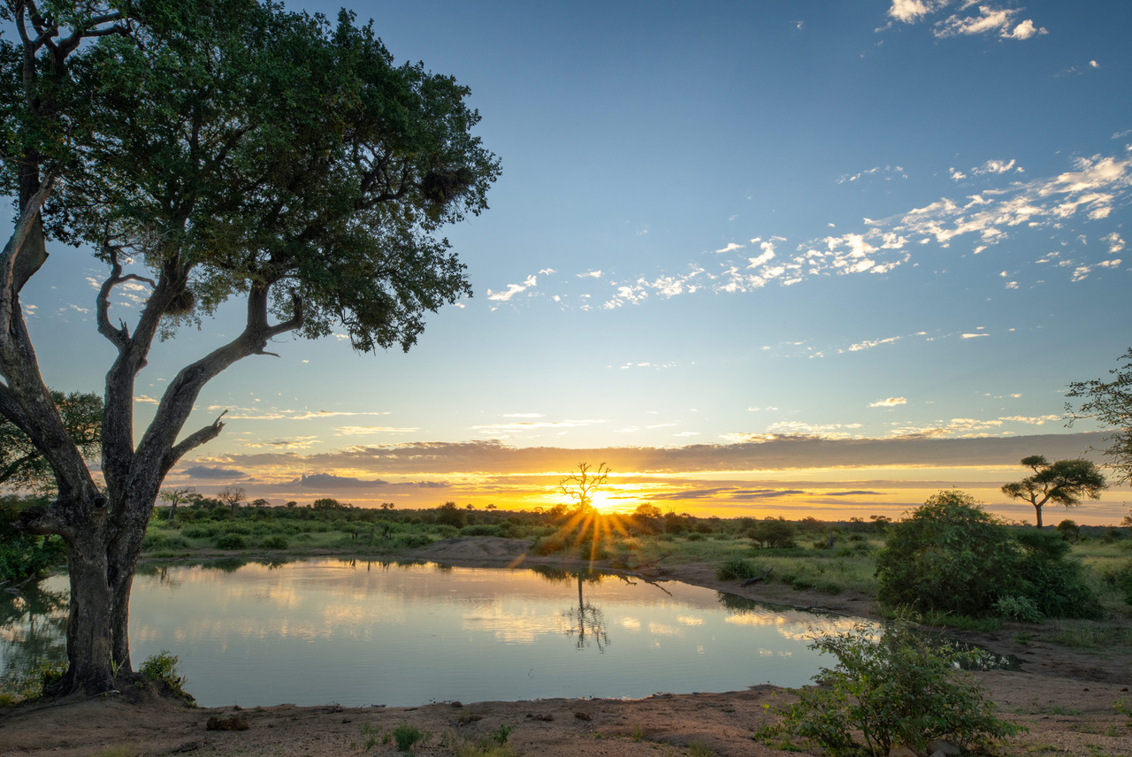 magical safari moments in the Timbavati