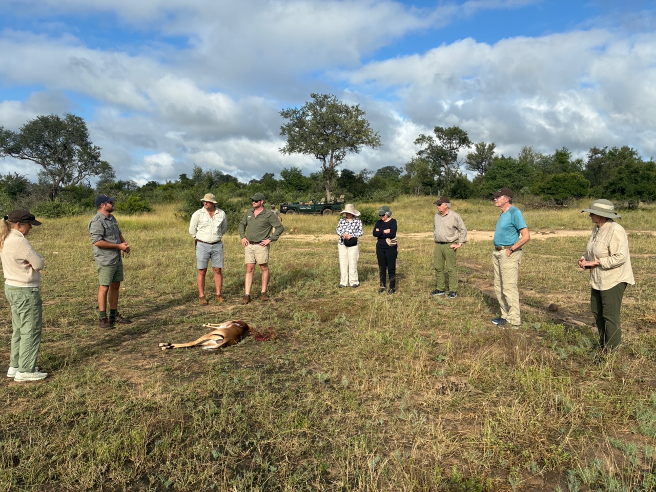 Tanda Tula guests getting actively involved in conservation research