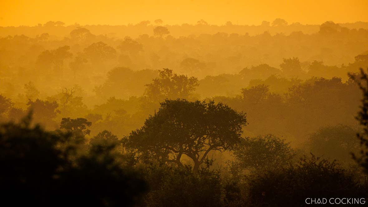 Early mornings over the Timbavati bushveld