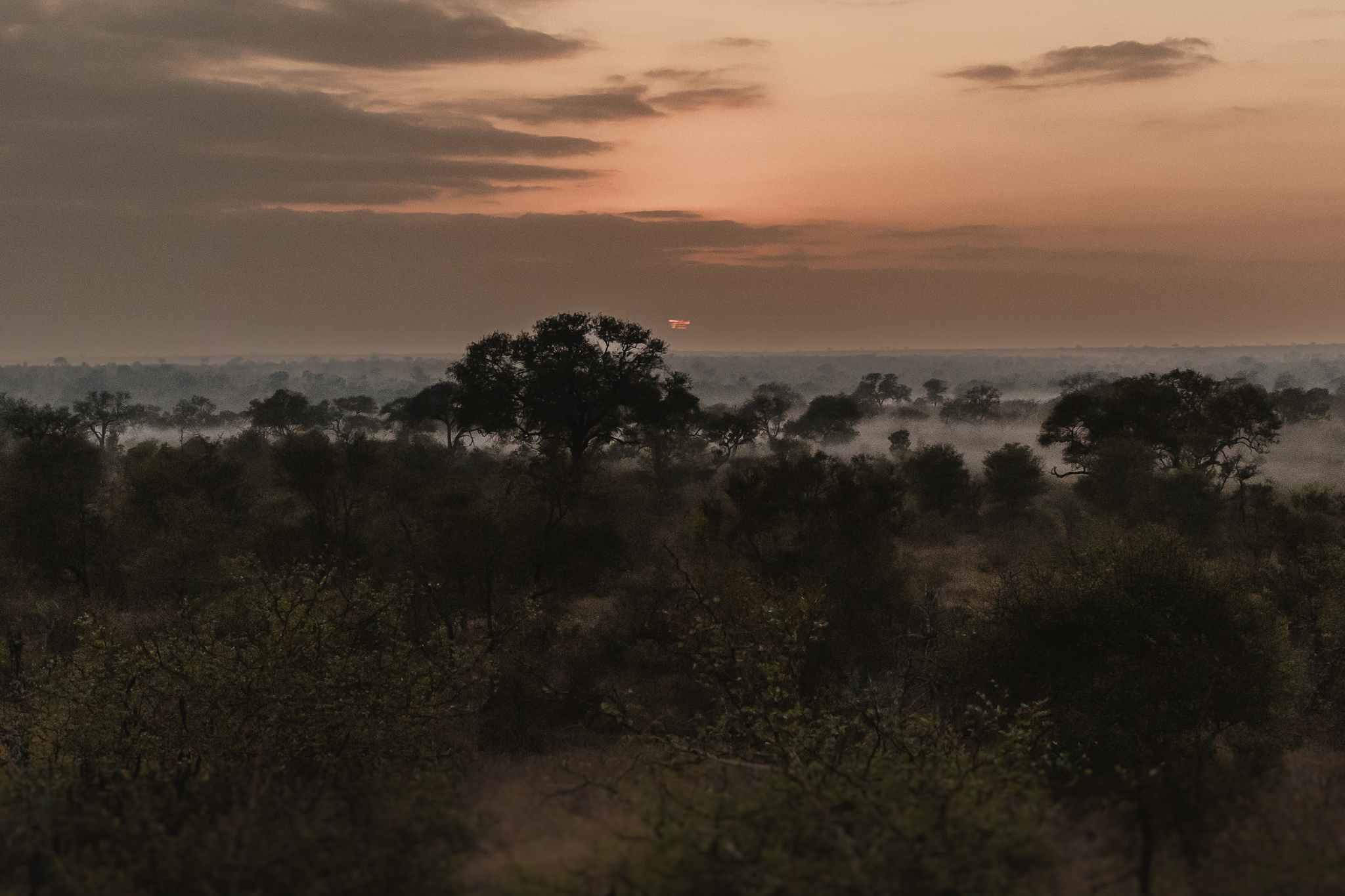 winter views over the Greater Kruger