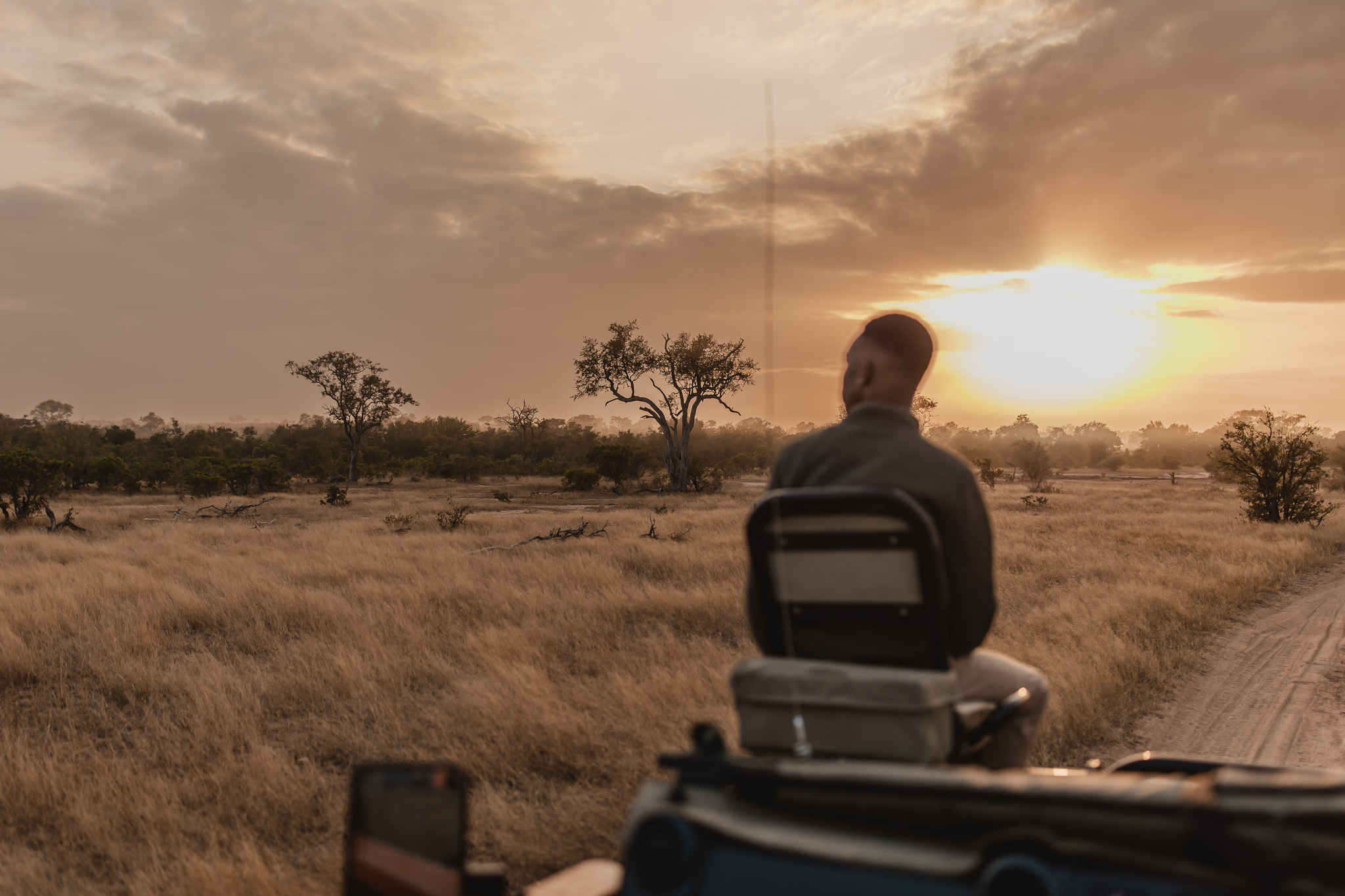 winter mornings on safari in the Timbavati