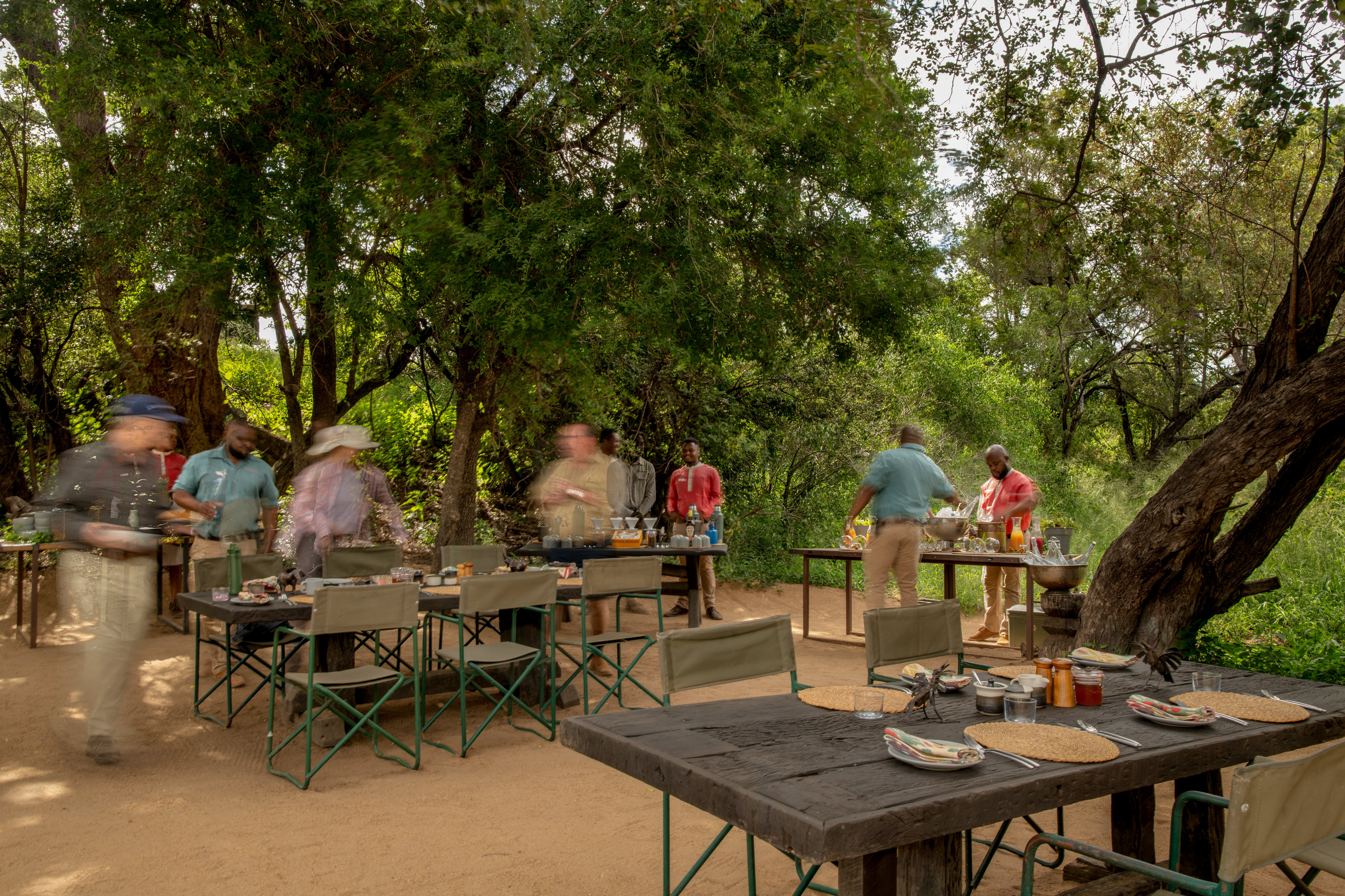 Guests enjoy a communal bush breakfast beneath a canopy of trees at Tanda Tula, surrounded by nature and warm hospitality from the team.