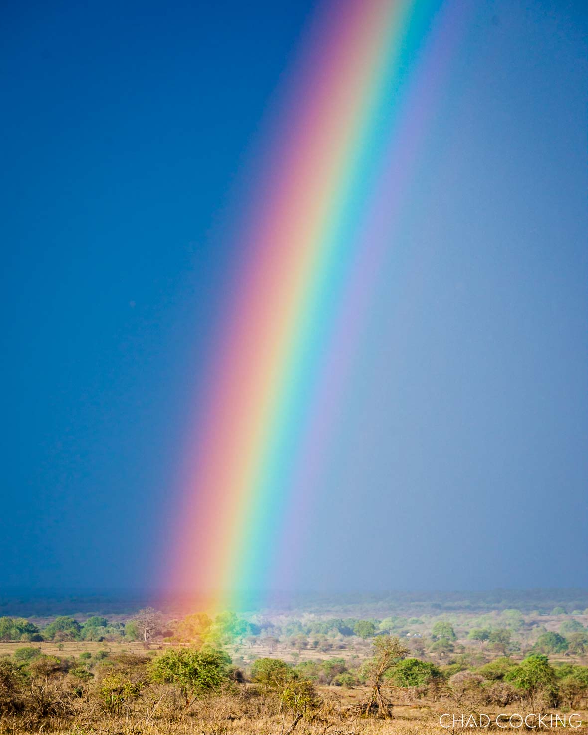 A rainbow arcs across the Timbavati plains in early spring.