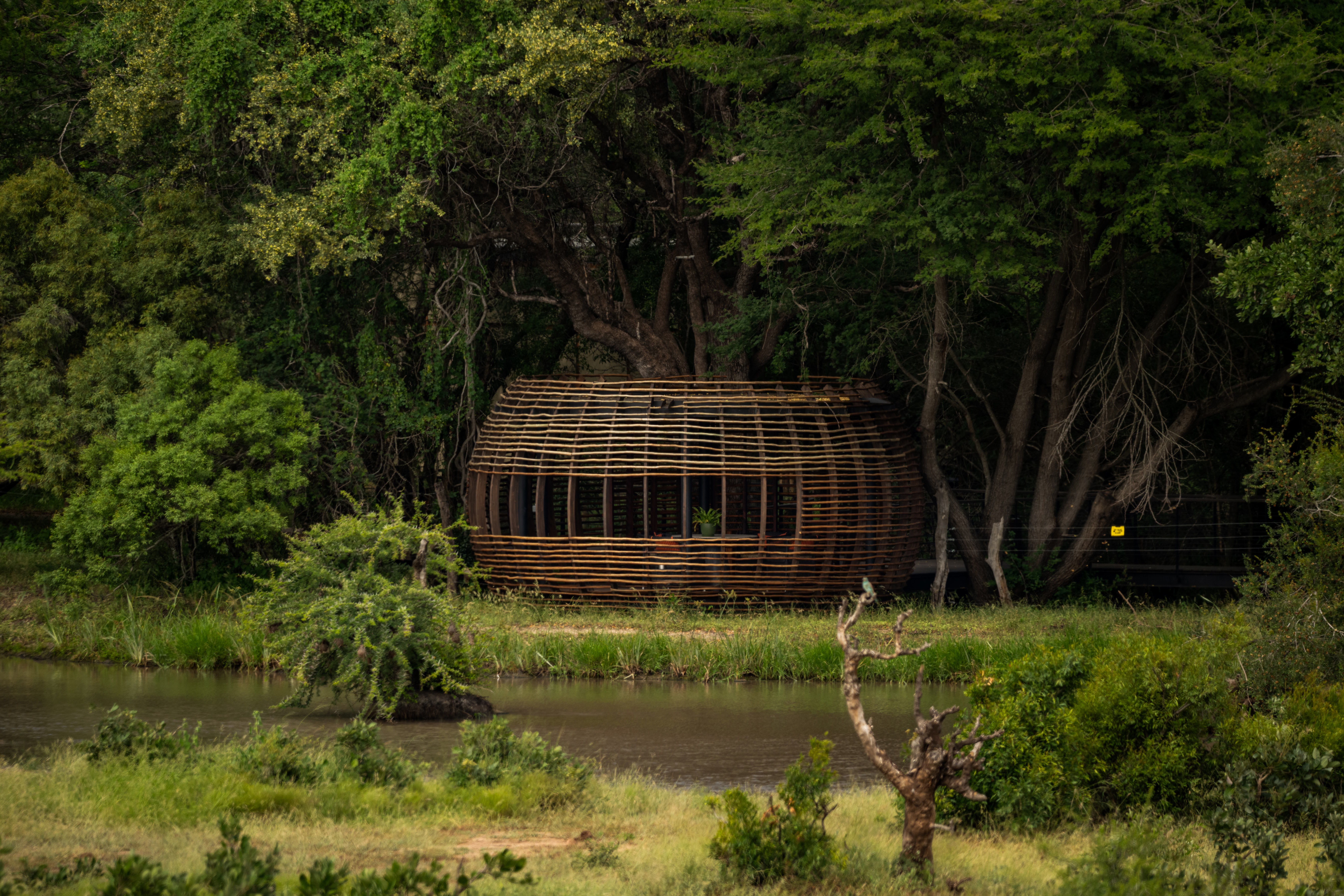 Luxury safari hide tucked into lush greenery beside a waterhole in the Timbavati.