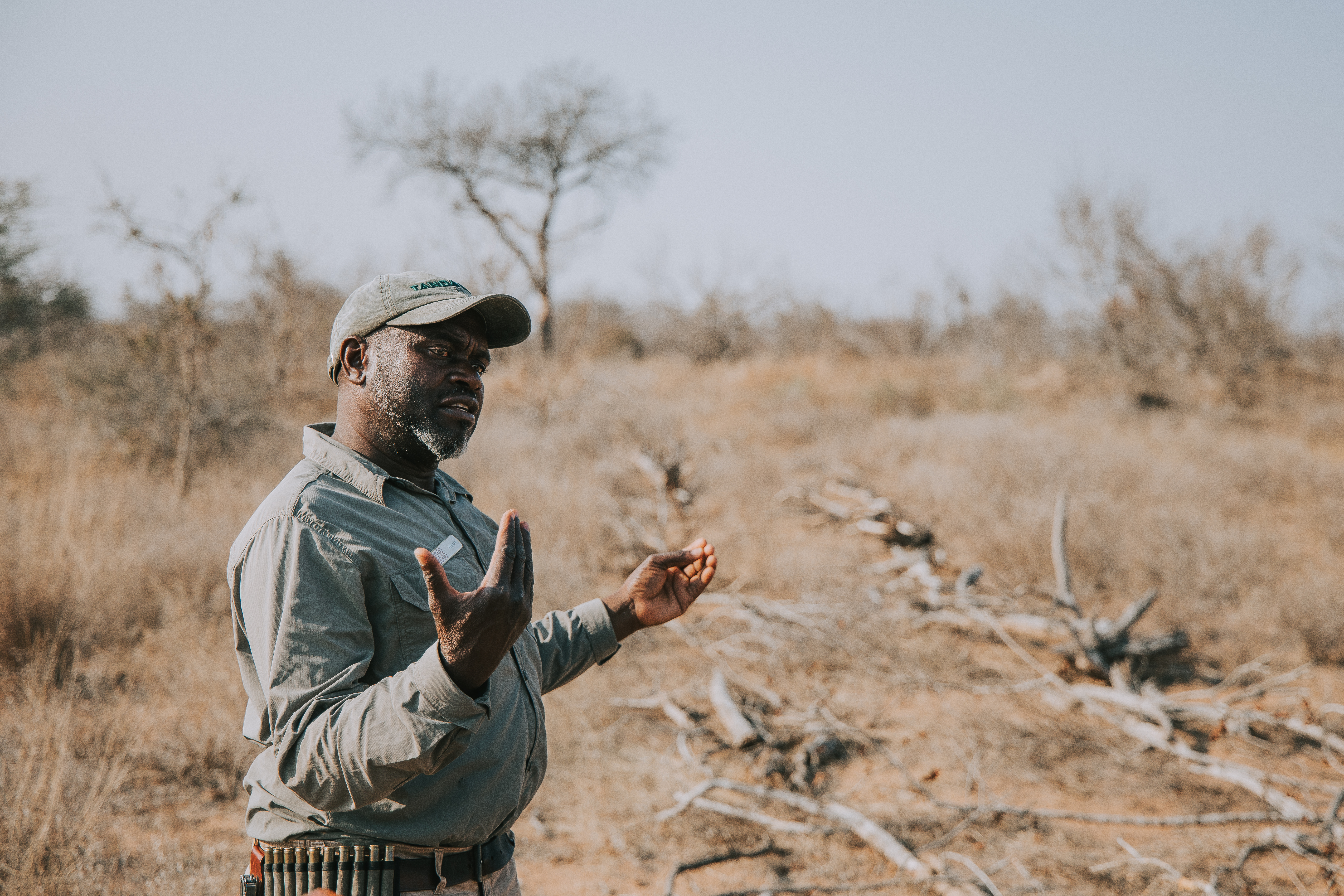 Tanda Tula guide demonstrating a rehabilitated area in the Timbavati