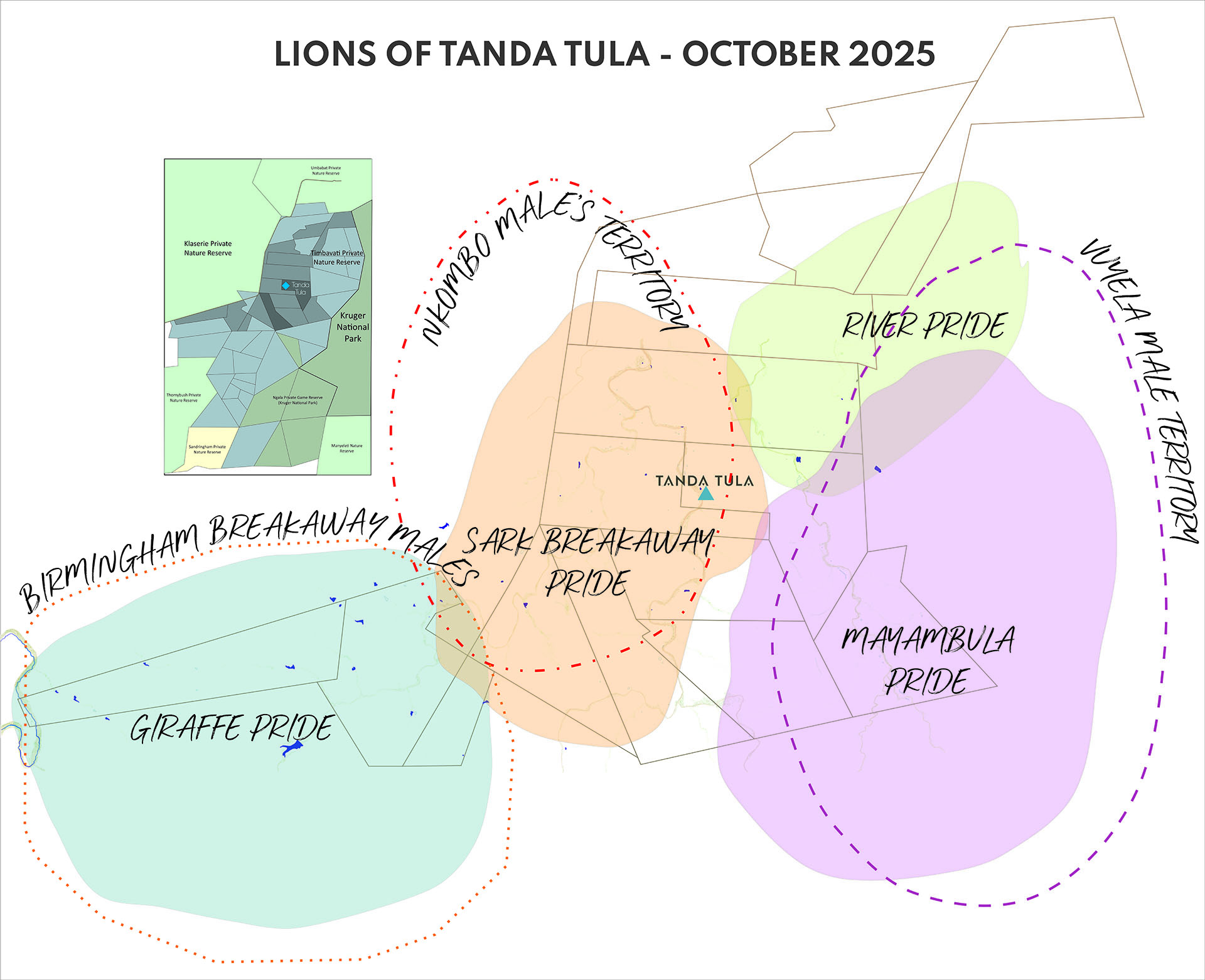Updated map showing lion pride and male coalition territories around Tanda Tula in the Timbavati, October 2025.