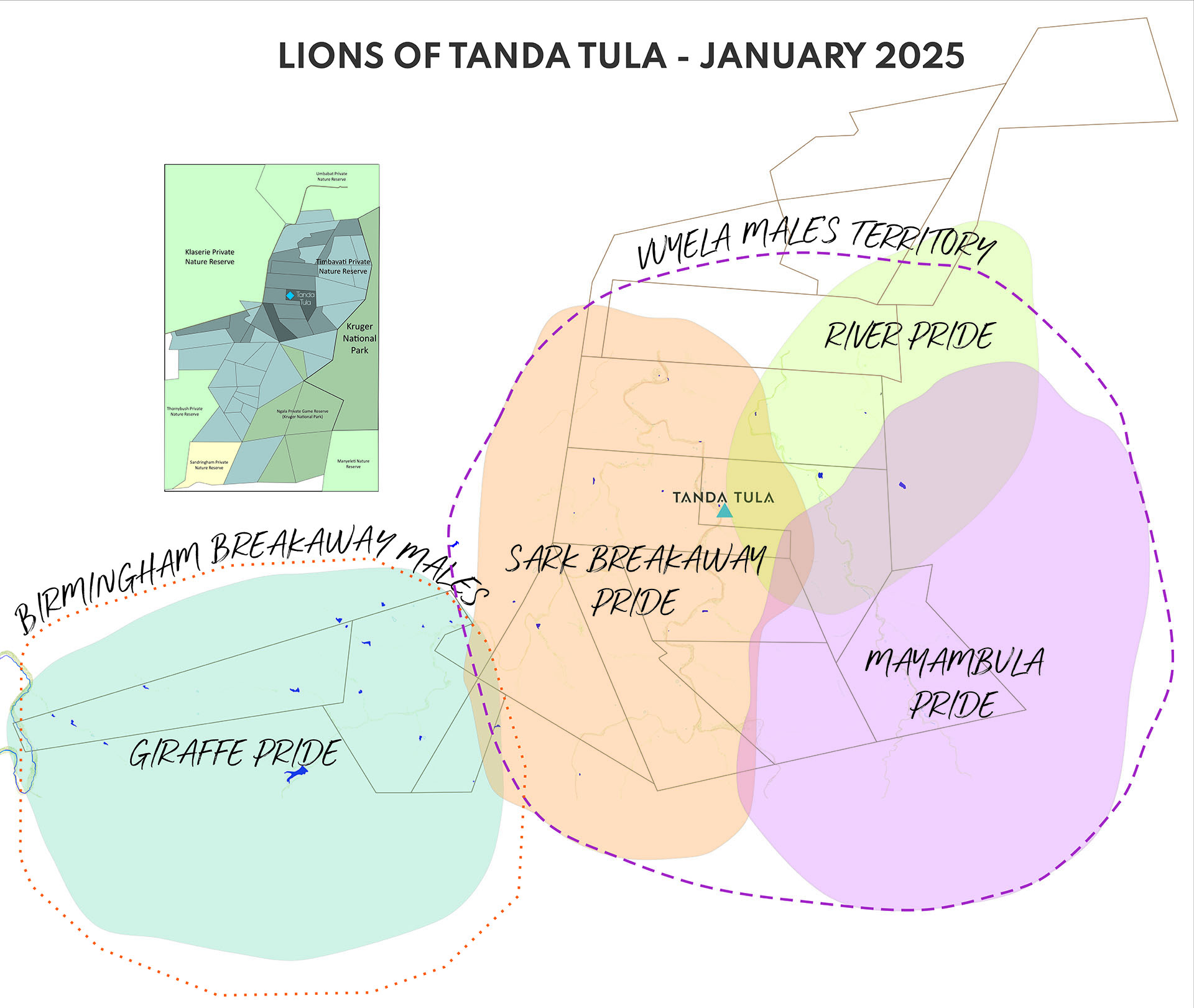 Map showing lion pride and male coalition territories around Tanda Tula in the Timbavati, January 2025.