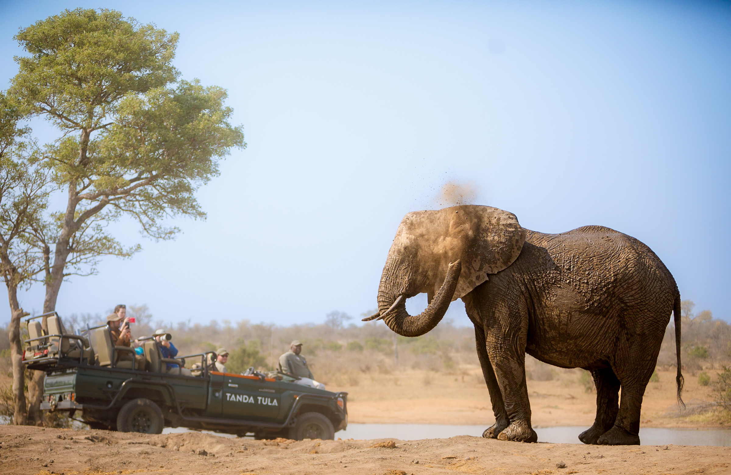 Safari vehicle keeping a safe distance from wildlife