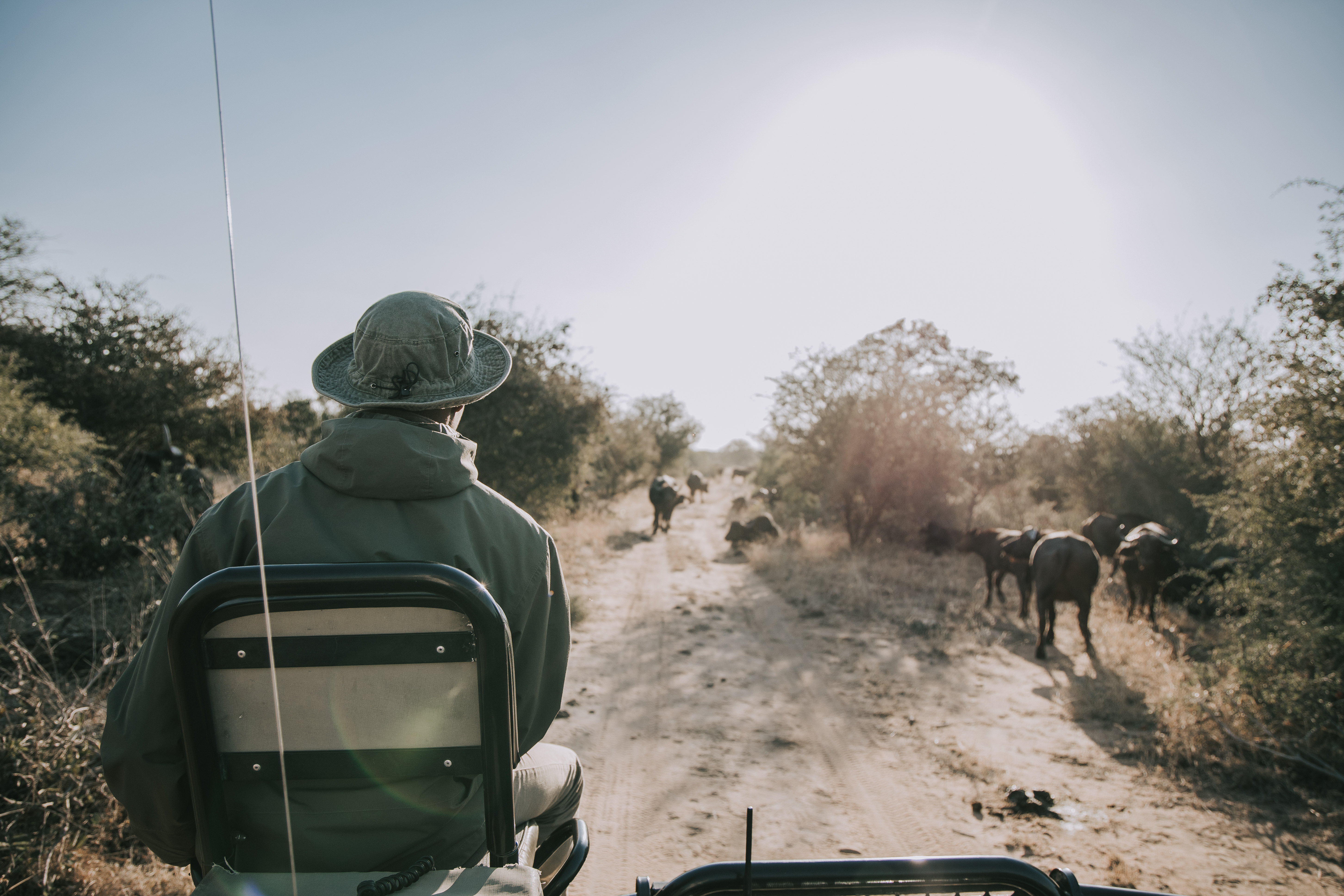 Guests observing wildlife quietly at a respectful distance