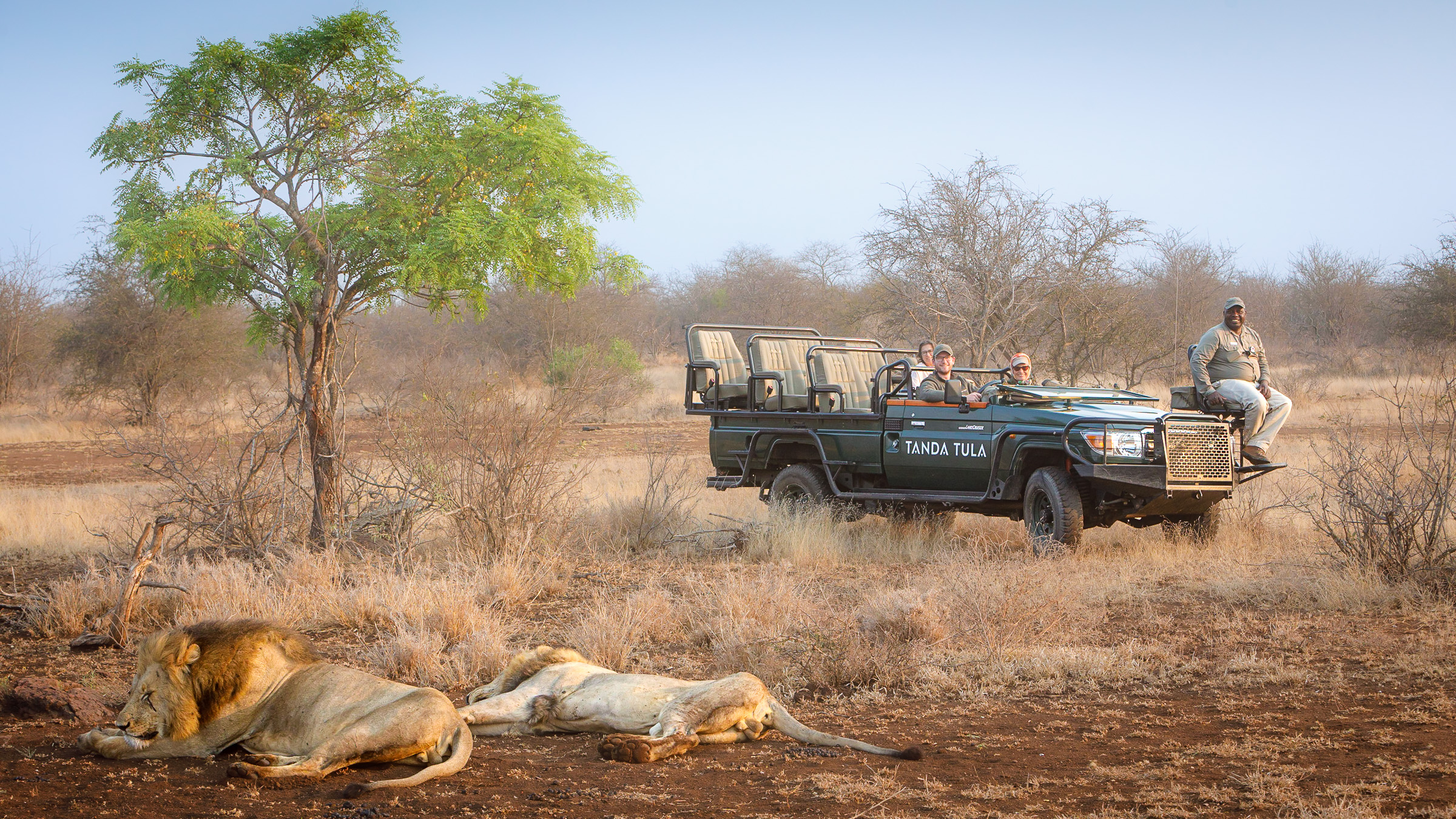 Guests quietly observing wildlife on safari at Tanda Tula