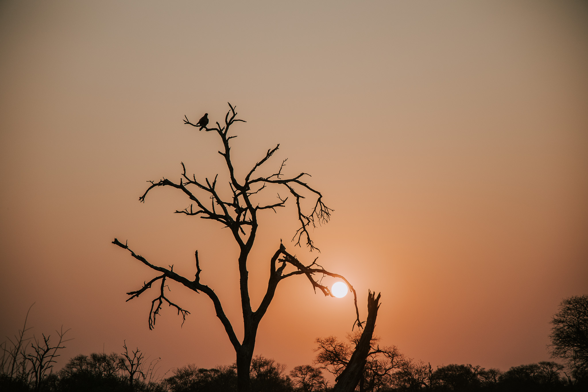 Sunset over wild bushveld areas in the Timbavati