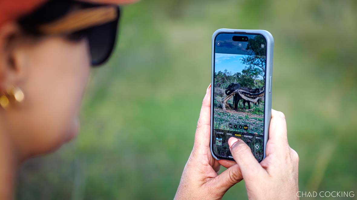 Guest photographing an elephant using an iPhone while on safari at Tanda Tula.