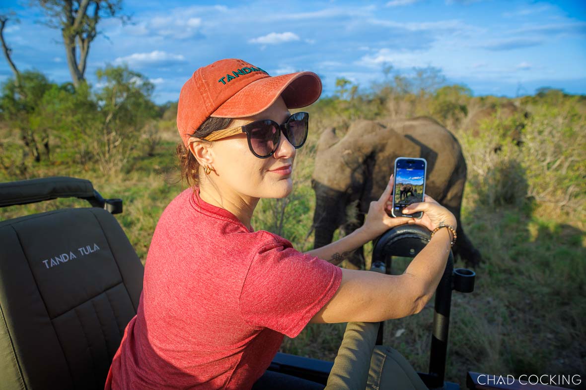 Guest on safari photographing an elephant up close from a Tanda Tula game viewer.