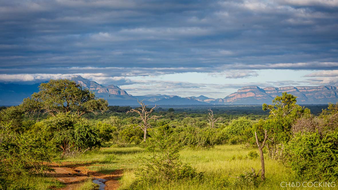 Lush green Timbavati landscape with dramatic summer clouds and distant mountains.