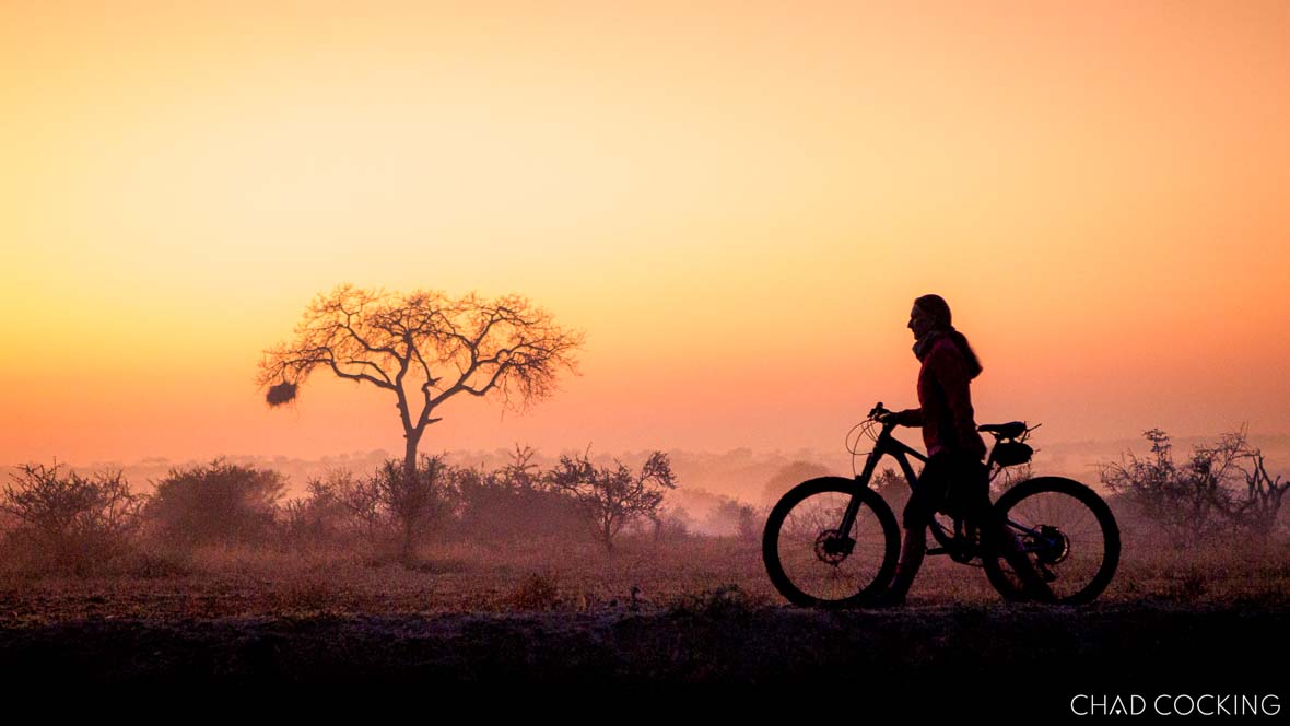Silhouette of a cyclist riding at sunrise through the Timbavati, with a lone tree glowing in the morning mist.